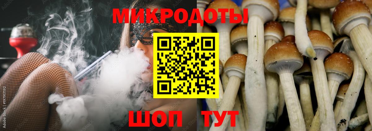Ногинск  Псилоцибиновые грибы Magic Shrooms  Вход с VPN 